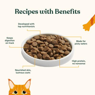 Show full view: Made by Nacho Cage-Free Chicken, Chicken Liver & Bone Broth Recipe Kittens Dry Cat Food, 2-lb bag slide 4 of 9