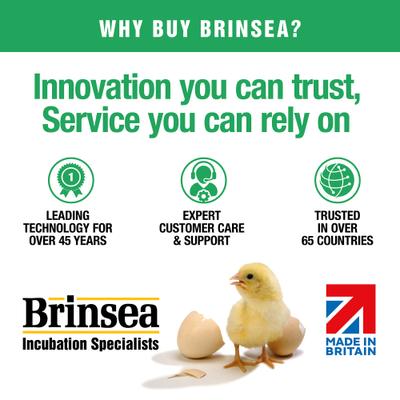 Show full view: Brinsea ChickSafe Eco Automatic Chicken Coop Door Opener & Door Kit slide 7 of 8