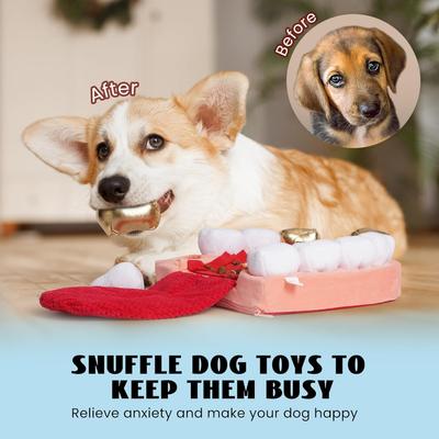 Show full view: Nocciola Teeth Enrichment Crinkle Snuffle Mat Squeaky Dog Toy, 11 count slide 6 of 10