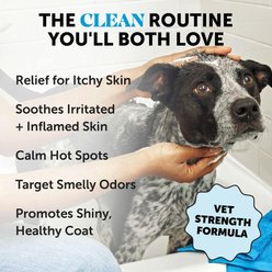 Pet Honesty Chlorhexidine Antibacterial Itchy Skin, Allergy Relief & Sensitive Skin Dog Shampoo, 16-fl oz bottle slide 2 of 8