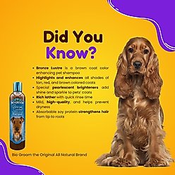Bio-Groom Bronze Lustre Color Enhancer Dog Shampoo, 12-fl oz bottle slide 2 of 7