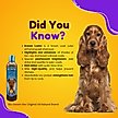 Show in main carousel: Bio-Groom Bronze Lustre Color Enhancer Dog Shampoo, 12-fl oz bottle slide 2 of 5