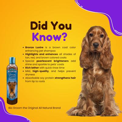 Show full view: Bio-Groom Bronze Lustre Color Enhancer Dog Shampoo, 12-fl oz bottle slide 2 of 7