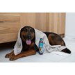Show in main carousel: Bio-Groom Bronze Lustre Color Enhancer Dog Shampoo, 12-fl oz bottle slide 3 of 5