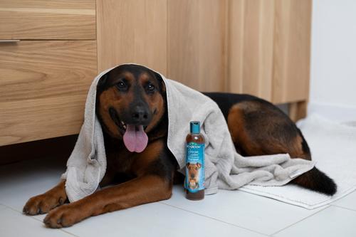 Show full view: Bio-Groom Bronze Lustre Color Enhancer Dog Shampoo, 12-fl oz bottle slide 3 of 7