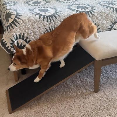 Show full view: OIC Pet Barkley Cat & Dog Bench Ramp, Harvest slide 6 of 11
