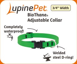 LupinePet Splash Waterproof BioThane Dog Collar, Neon Green, Small: 9 to 14-in neck, 3/4-in wide slide 2 of 7