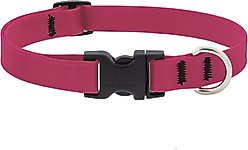 LupinePet Splash Waterproof BioThane Dog Collar, Neon Pink, Large: 15 to 25-in neck, 3/4-in wide