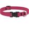 Show in main carousel: LupinePet Splash Waterproof BioThane Dog Collar, Neon Pink, Large: 15 to 25-in neck, 3/4-in wide slide 1 of 7