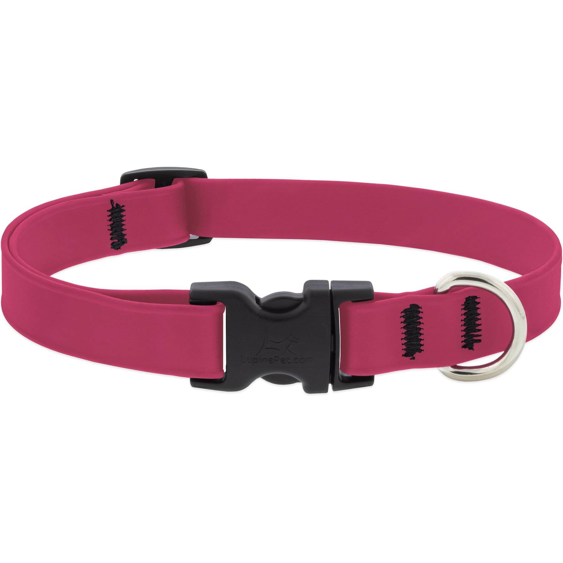 LupinePet Splash Waterproof BioThane Dog Collar, Neon Pink, Small: 9 to 14-in neck, 3/4-in wide
