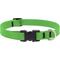 Show in main carousel: LupinePet Splash Waterproof BioThane Dog Collar, Neon Green, Large: 15 to 25-in neck, 3/4-in wide slide 1 of 6