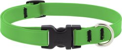 LupinePet Splash Waterproof BioThane Dog Collar, Neon Green, Small: 9 to 14-in neck, 3/4-in wide