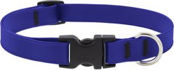 LupinePet Splash Waterproof BioThane Dog Collar, True Blue, Medium: 13 to 22-in neck, 3/4-in wide