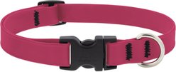 LupinePet Splash Waterproof BioThane Dog Collar, Neon Pink, Medium: 13 to 22-in neck, 3/4-in wide