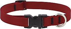 LupinePet Splash Waterproof BioThane Dog Collar, Brick Red, Small: 9 to 14-in neck, 3/4-in wide