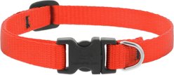 LupinePet Basic Solid Dog Collar, Blaze Orange, X-Small: 8 to 12-in neck, 1/2-in wide