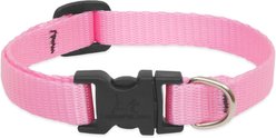 LupinePet Basic Solid Dog Collar, Pink, Small: 10 to 16-in neck, 1/2-in wide