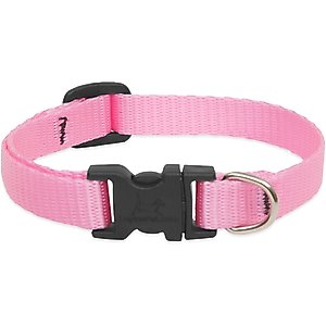LupinePet Basic Solid Dog Collar, Pink, Small: 10 to 16-in neck, 1/2-in wide