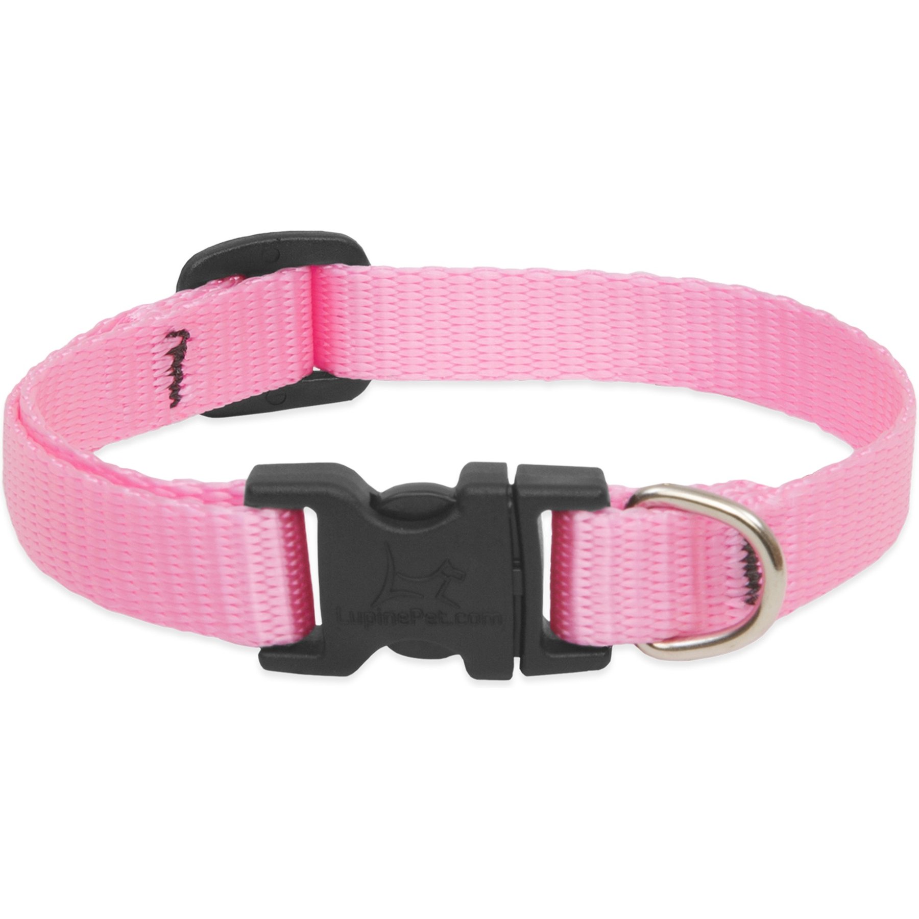 LupinePet LupinePet Basic Solid Dog Collar, Pink, XX-Small: 6 to 9-in neck, 1/2-in wide