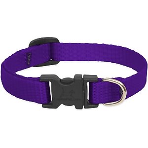 LupinePet Basic Solid Dog Collar, Purple, Small: 10 to 16-in neck, 1/2-in wide