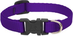 LupinePet Basic Solid Dog Collar, Purple, X-Small: 8 to 12-in neck, 1/2-in wide