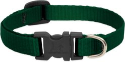 LupinePet Basic Solid Dog Collar, Green, X-Small: 8 to 12-in neck, 1/2-in wide