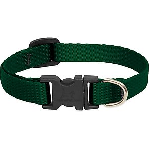 LupinePet Basic Solid Dog Collar, Green, X-Small: 8 to 12-in neck, 1/2-in wide