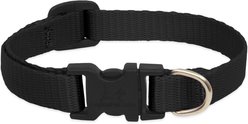LupinePet Basic Solid Dog Collar, Black, Small: 10 to 16-in neck, 1/2-in wide