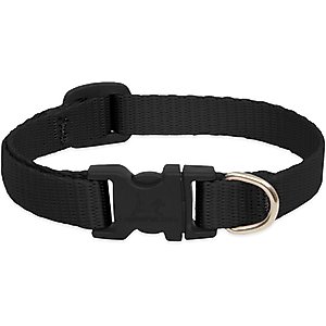 LupinePet Basic Solid Dog Collar, Black, XX-Small: 6 to 9-in neck, 1/2-in wide