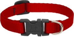 LupinePet Basic Solid Dog Collar, Red, Small: 10 to 16-in neck, 1/2-in wide
