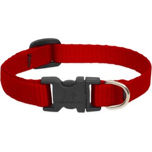 LupinePet Basic Solid Dog Collar, Red, Small: 10 to 16-in neck, 1/2-in wide