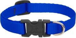 LupinePet Basic Solid Dog Collar, Blue, Small: 10 to 16-in neck, 1/2-in wide