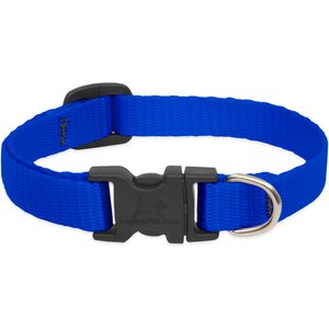 LupinePet Basic Solid Dog Collar, Blue, Small: 10 to 16-in neck, 1/2-in wide