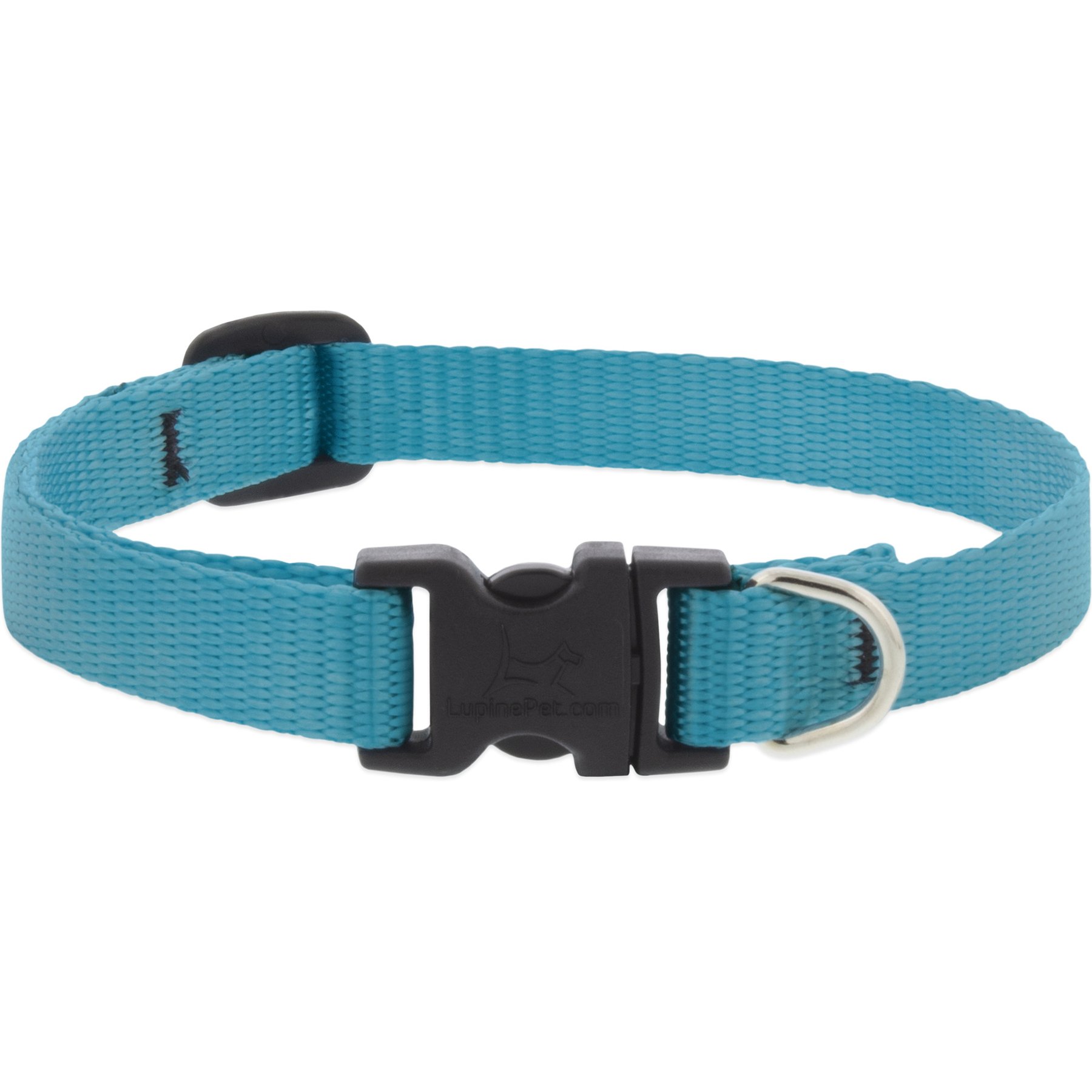 LupinePet Basic Solid Dog Collar, Aqua, Small: 10 to 16-in neck, 1/2-in wide