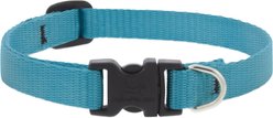 LupinePet Basic Solid Dog Collar, Aqua, X-Small: 8 to 12-in neck, 1/2-in wide