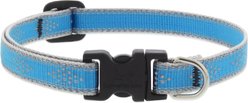 LupinePet Reflective Diamonds Dog Collar, Blue Diamond, Small: 10 to 16-in neck, 1/2-in wide