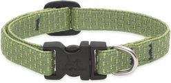 LupinePet Eco Dog Collar, Moss, Small: 10 to 16-in neck, 1/2-in wide