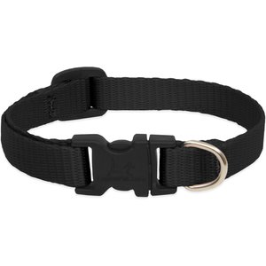 LupinePet Basics Nylon Standard Dog Collar, Black, Small: 8 to 12-in neck, 1/2-in wide