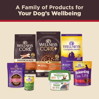 Show full view: Wellness CORE Grain-Free Hearty Cuts in Gravy Beef & Venison Recipe Canned Dog Food, 12.5-oz, case of 12 slide 5 of 10