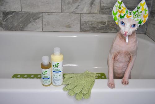 Show full view: RenewedPet Ear Cover Cat Shower & Bath Cap, Small slide 3 of 7