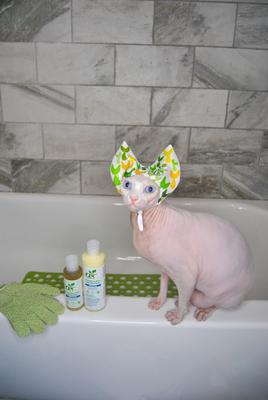 Show full view: RenewedPet Ear Cover Cat Shower & Bath Cap, Small slide 4 of 7