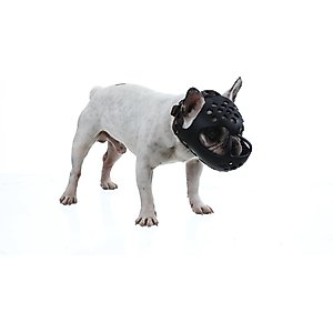 CollarDirect Leather Basket Dog Muzzle for Pitbull