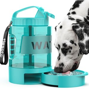 algae free outdoor water dog bowl Petmate 5 Gallon Big Blue Outdoor Water Bowl