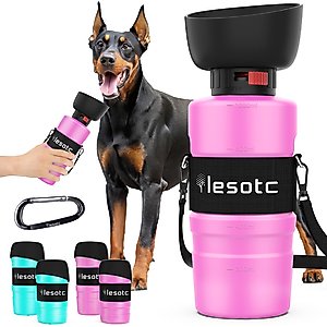 【NEIGHBORHOOD/ネイバーフッド】DOG TRAVEL BOTTLE Classic Dog Travel Water Bottle | Springer