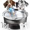 Show in main carousel: LESOTC Dog & Cat Water Fountain, Black, 2.6-gallon slide 1 of 7
