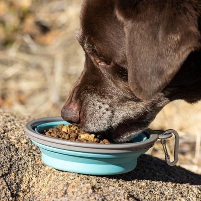 Show full view: Nulo Raw Medley Beef & Sweet Potato Large Breed Adult Dry Dog Food, 20-lb bag slide 8 of 11