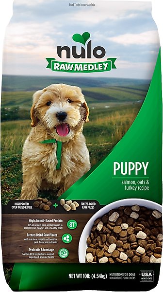 How Much Raw Food for 10 Pound Dog: Ultimate Feeding Guide