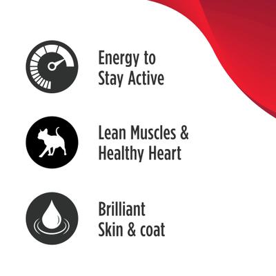 Show full view: Nulo Raw Medley Turkey, Chicken & Trout Adult Dry Cat Food, 4-lb bag slide 4 of 10