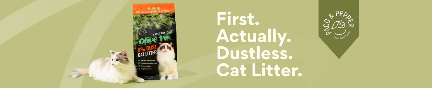 First.  Actually.  Dustless.  Cat Litter.