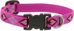 LupinePet Original Designs Puppy Love Dog Collar, Small: 10 to 16-in neck, 1/2-in wide
